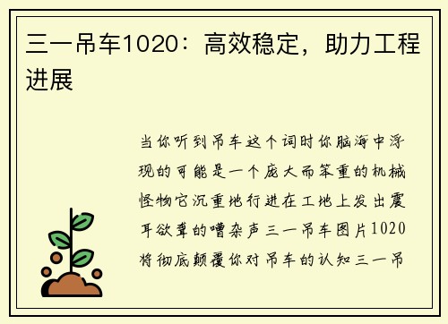 三一吊车1020：高效稳定，助力工程进展