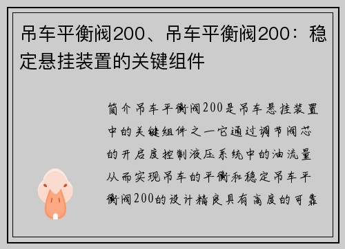 吊车平衡阀200、吊车平衡阀200：稳定悬挂装置的关键组件