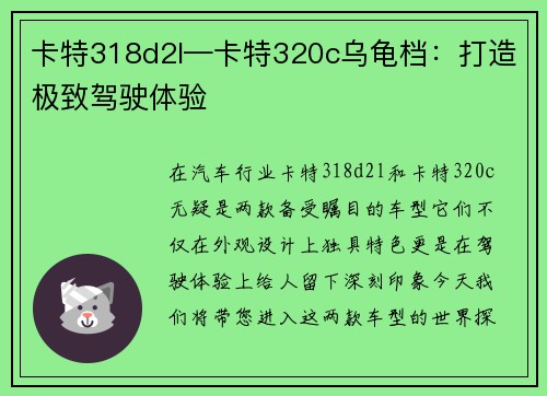 卡特318d2l—卡特320c乌龟档：打造极致驾驶体验