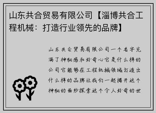山东共合贸易有限公司【淄博共合工程机械：打造行业领先的品牌】
